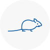 Mice Exterminators In Canvey Island